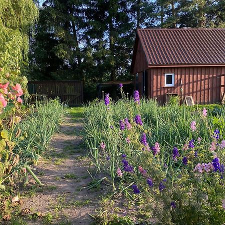 Agroturystyka Omelia Człuchów 外观 照片