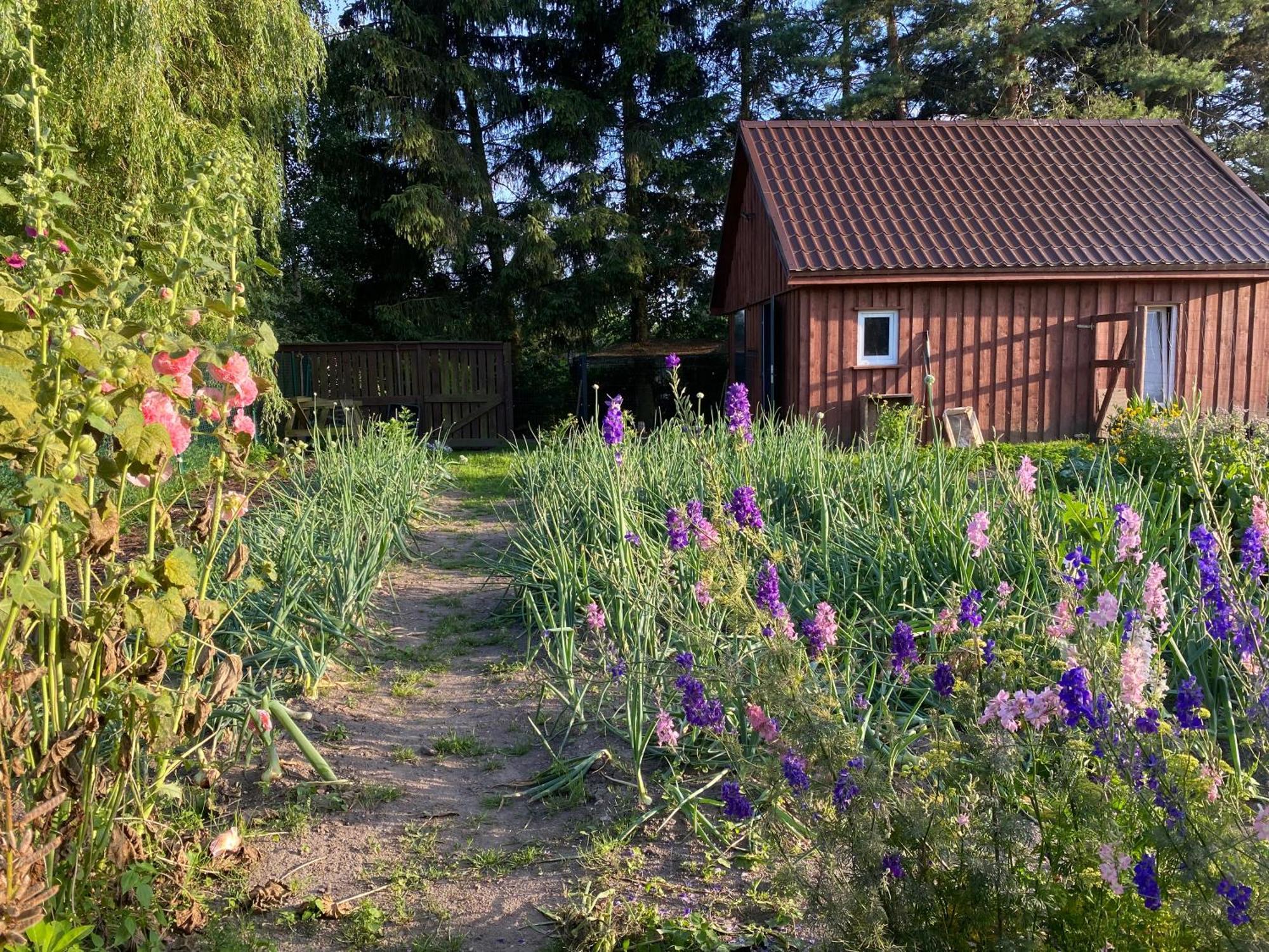 Agroturystyka Omelia Człuchów 外观 照片